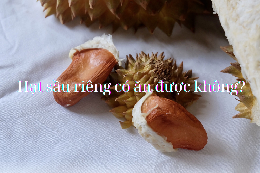 Hạt sầu riêng có ăn được không?