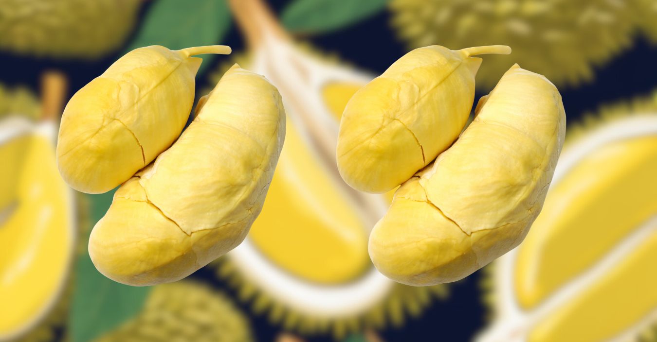 Sầu Riêng Musang King